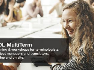 SDL MultiTerm training