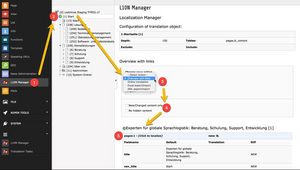 Loctimize TYPO3