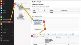 Loctimize TYPO3
